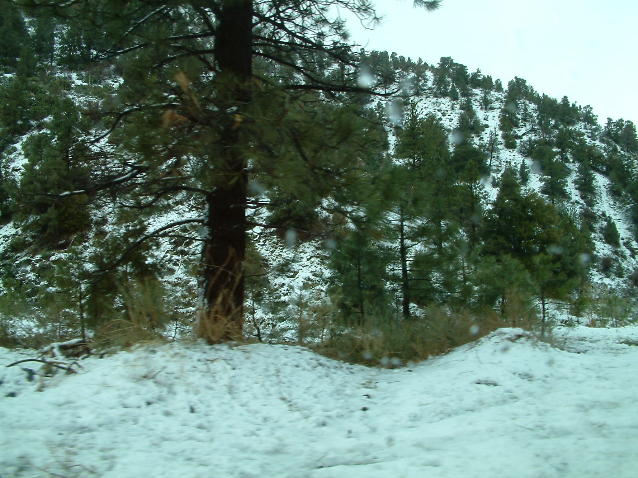 mthigh15.jpg