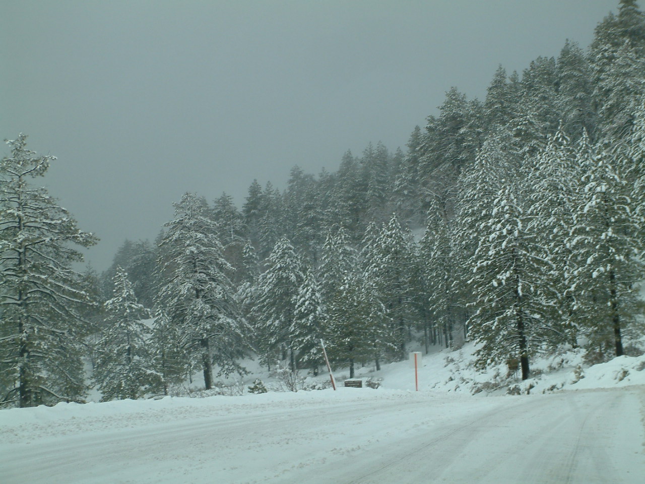 mthigh24.jpg