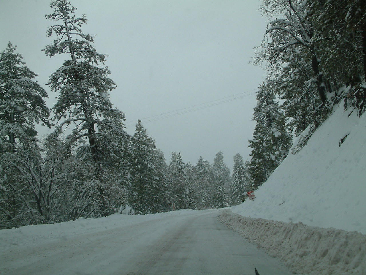 mthigh26.jpg