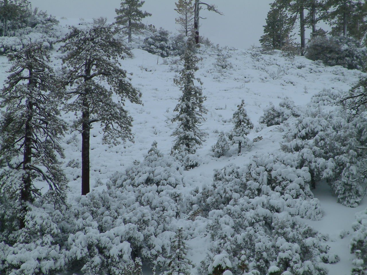 mthigh29.jpg