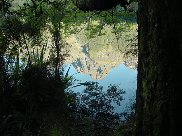 Reflections on the way to Milford Sound