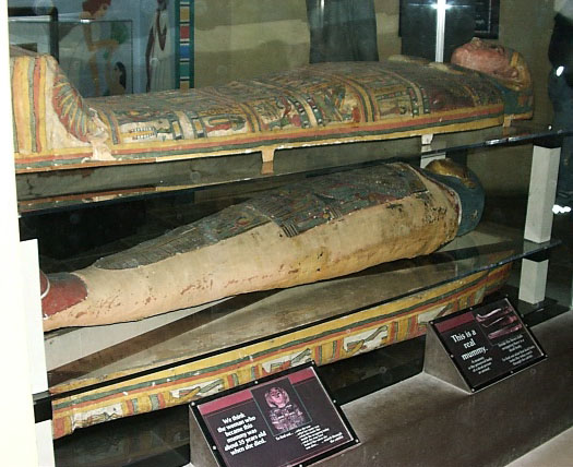 Egyptian mummies