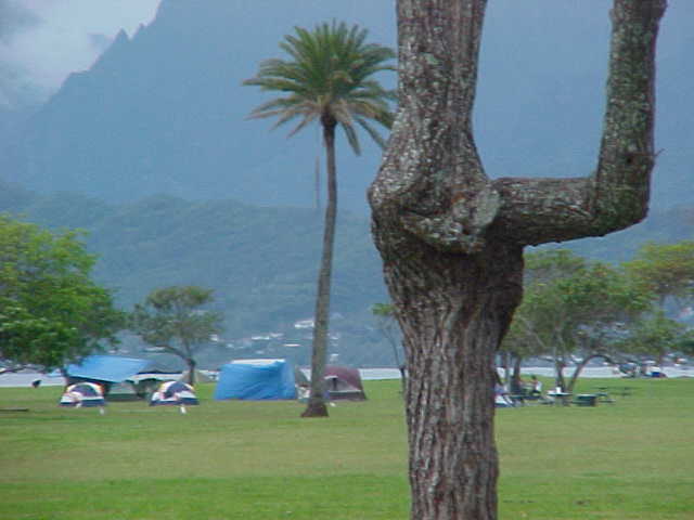 Every beach a park, a campground