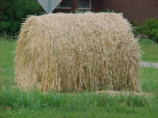 bale of hay