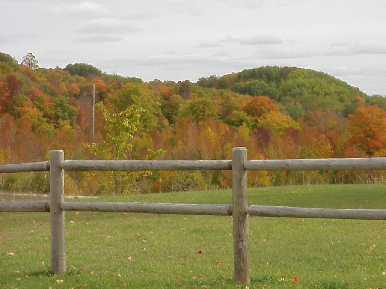 Fall Colors in Michigan