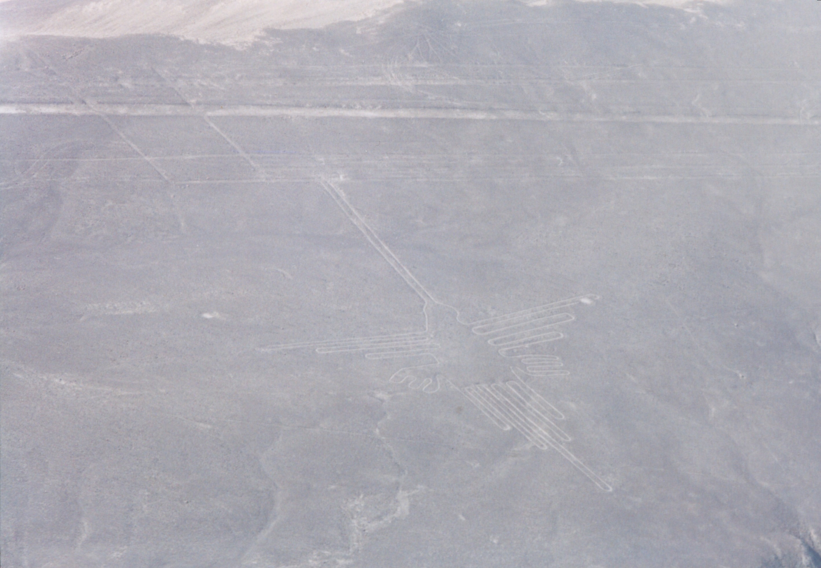 Nasca Lines