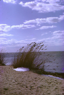 Islip beach Long Island New York