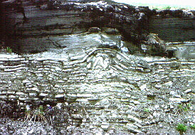 Folded Sediment Rock New York