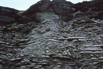 Folded sediment rock Herkimer New York