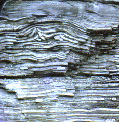 Folded sediment rock Herkimer New York