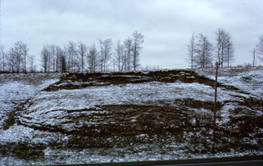 Hillside Slump Fredonia New York