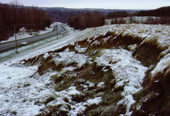 Hillside Slump Fredonia New York