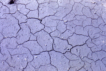 Mud Cracks