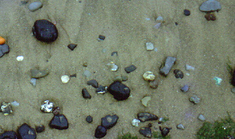 Rounded beach pebbles