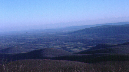 Coastal plain Skyline Drive Virginia