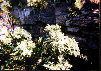 Starved Rock Park