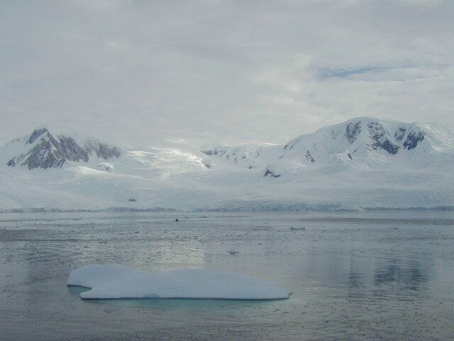 Neko Harbor with icebergs