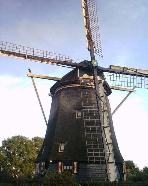 Windmill in Amsterdam