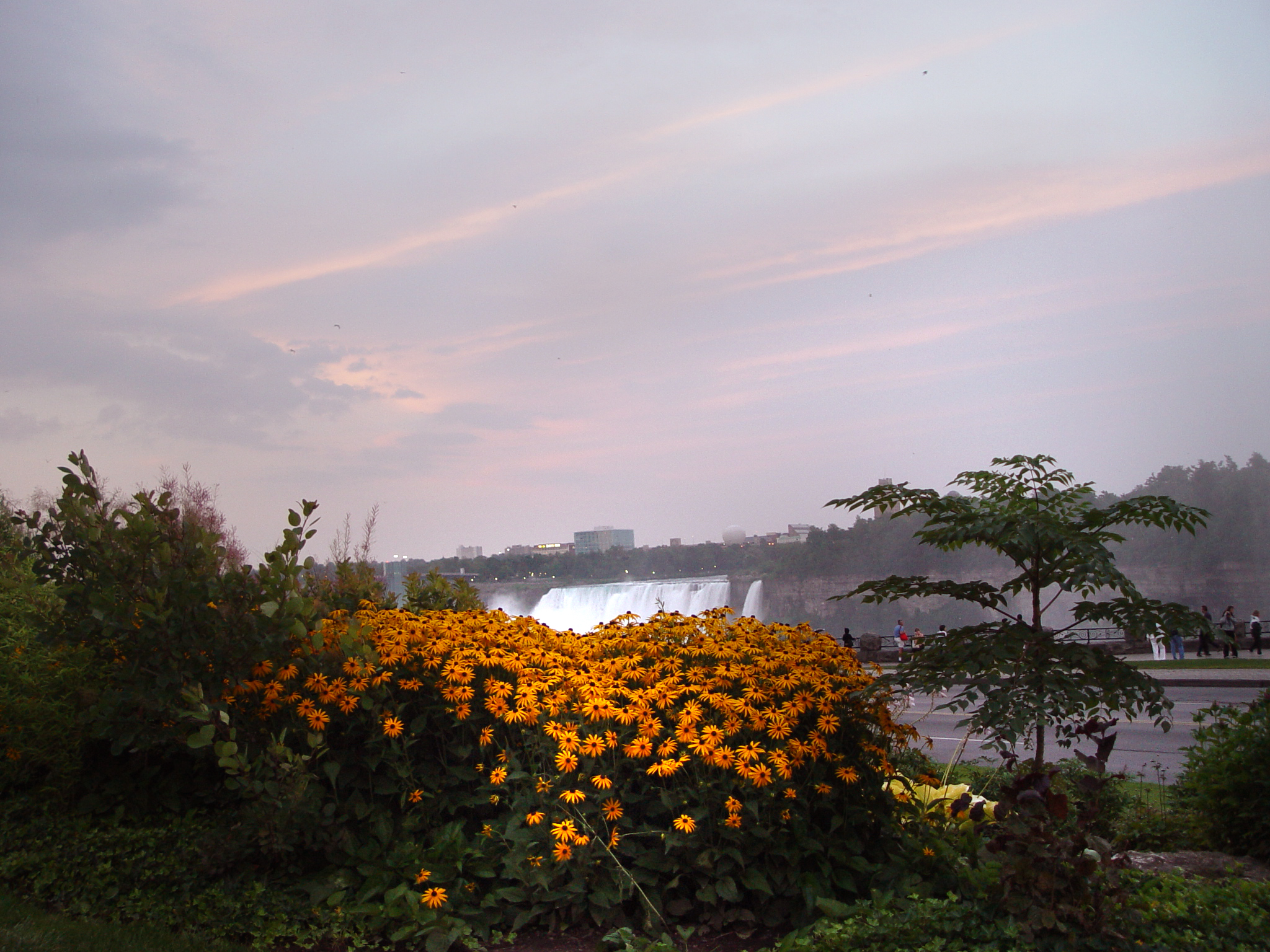 Niagra Falls at sunset