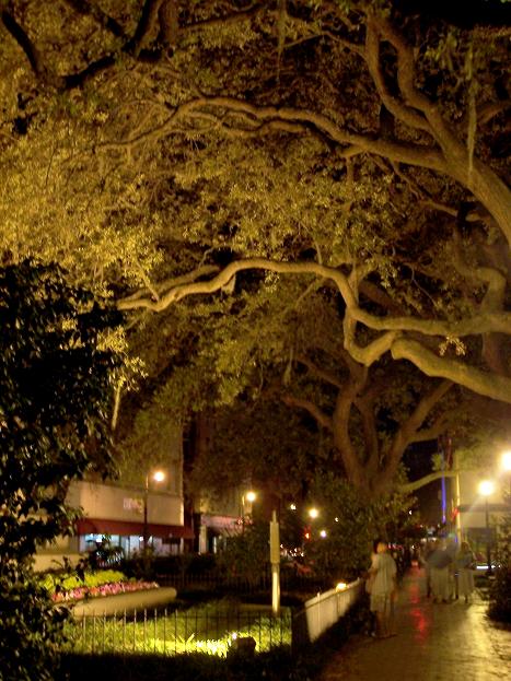 Nighttime Stroll in Savannah