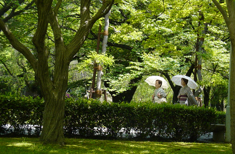Walking in Nijo-jo garden's in traditional dress