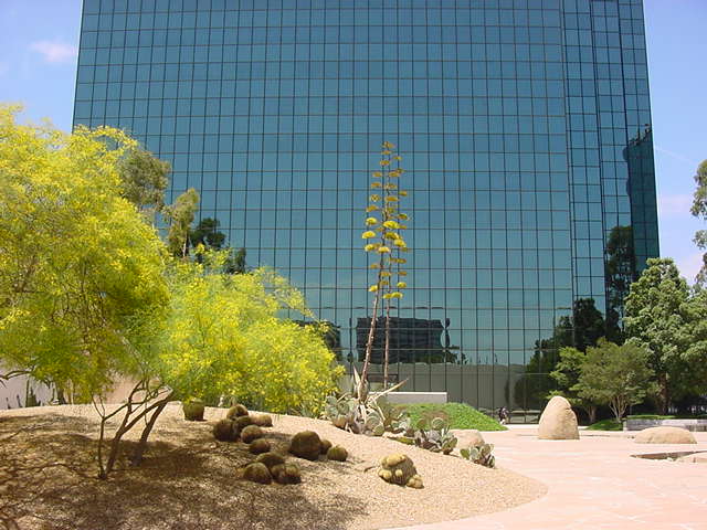 Reflection of Noguchi Garden