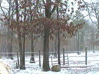 Snow in a field on Long Island in New York.