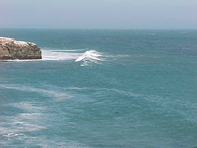 Natural Bridges State Beach