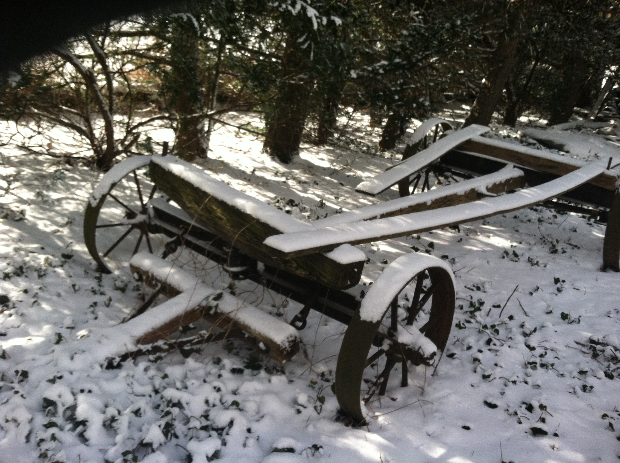 Old Hay Wagon in Snow