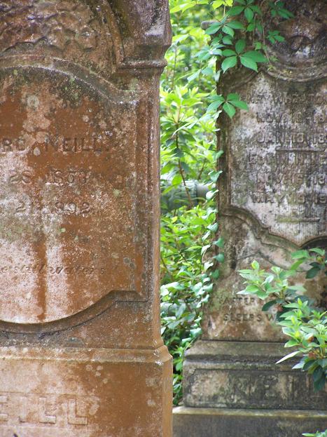 Old Stone of the Bonaventure Cemetery