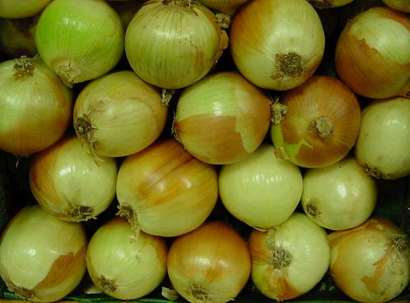 onions, las cebollas