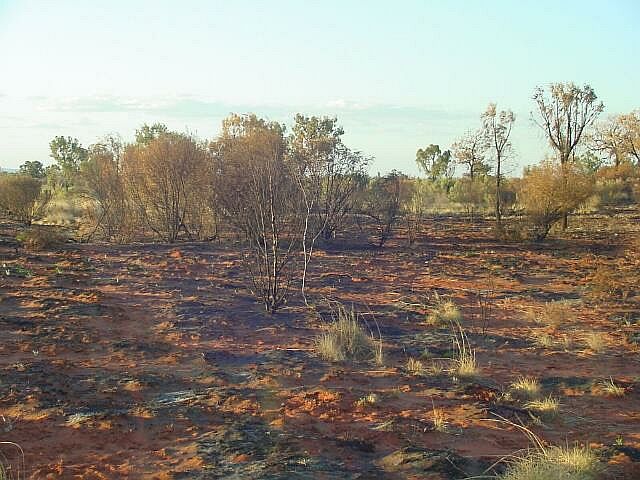 Fire in the Outback