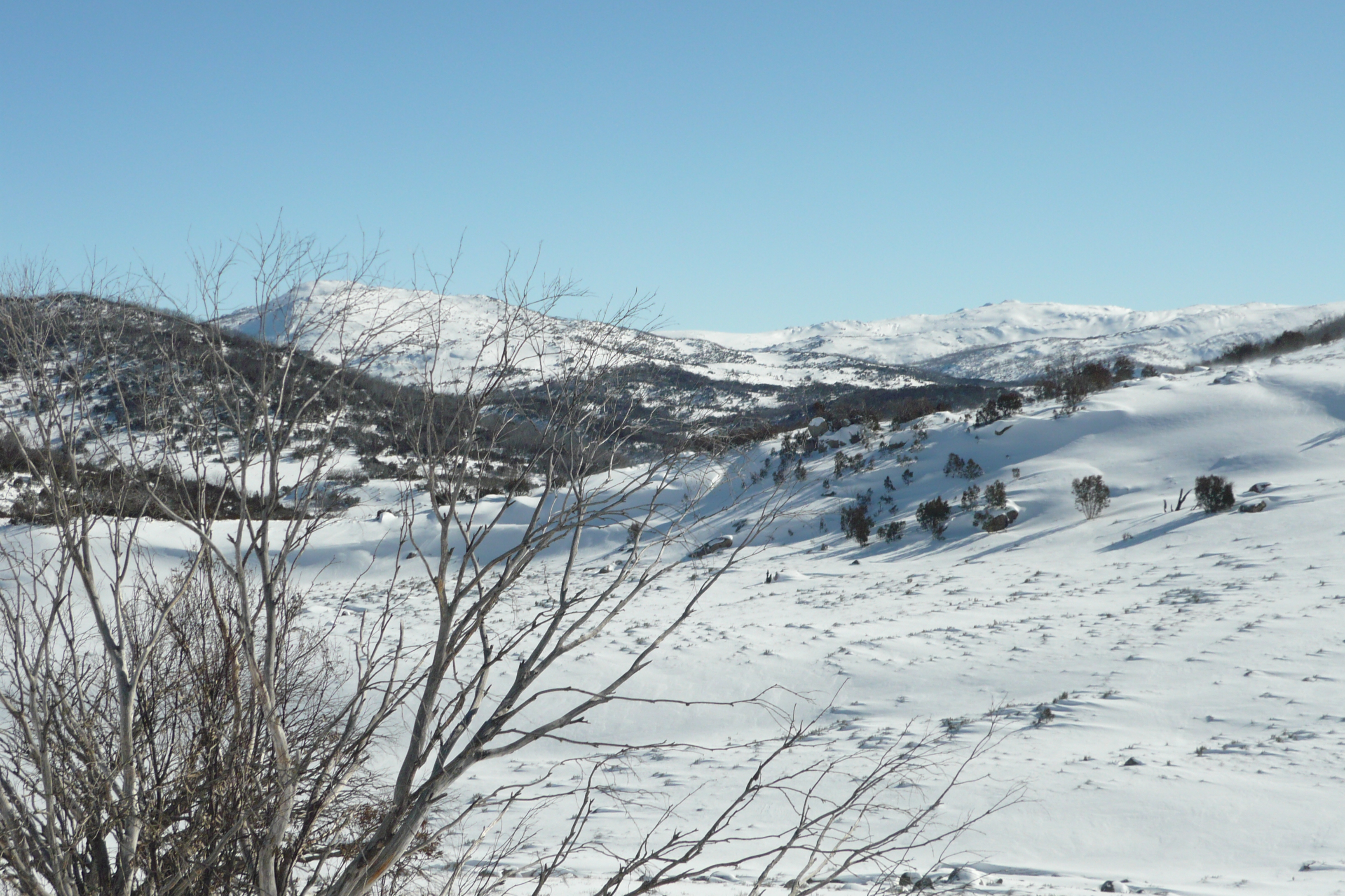 Snow landscape