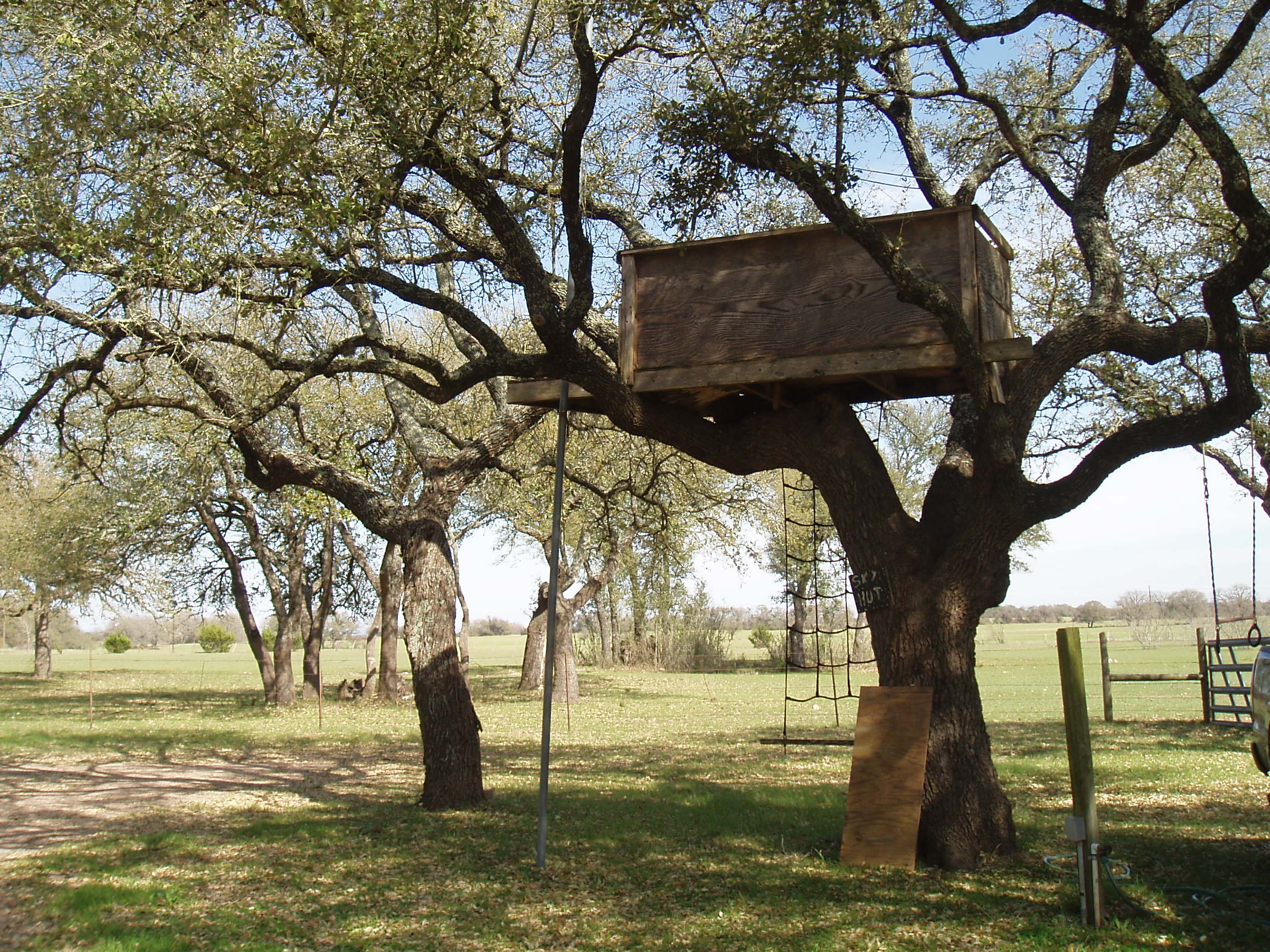 Kid's tree house