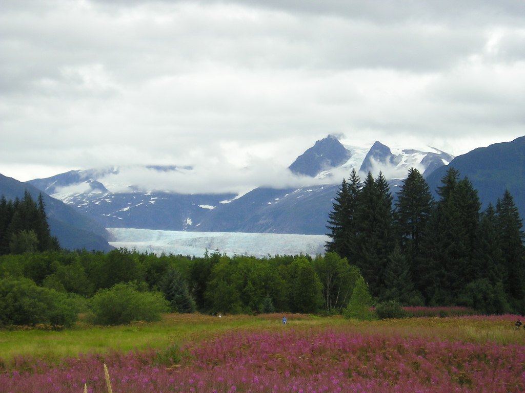 Summer in Alaska