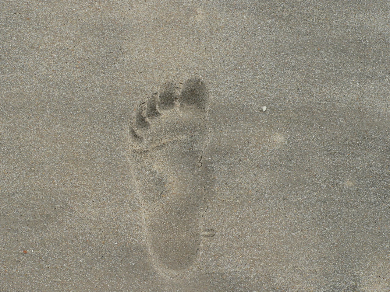 Foot print in Sand