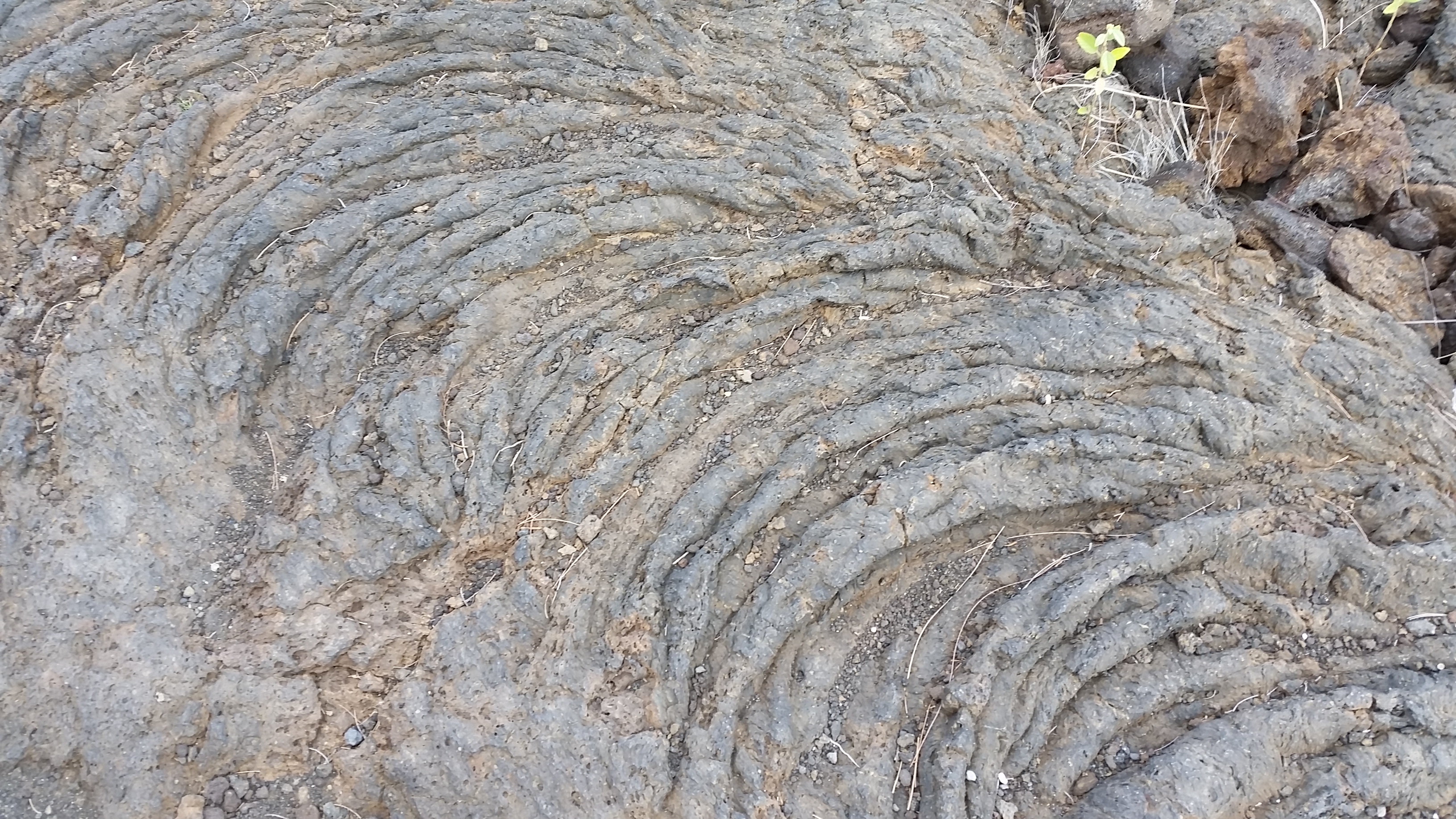 Pahoehoe type of basalt lava