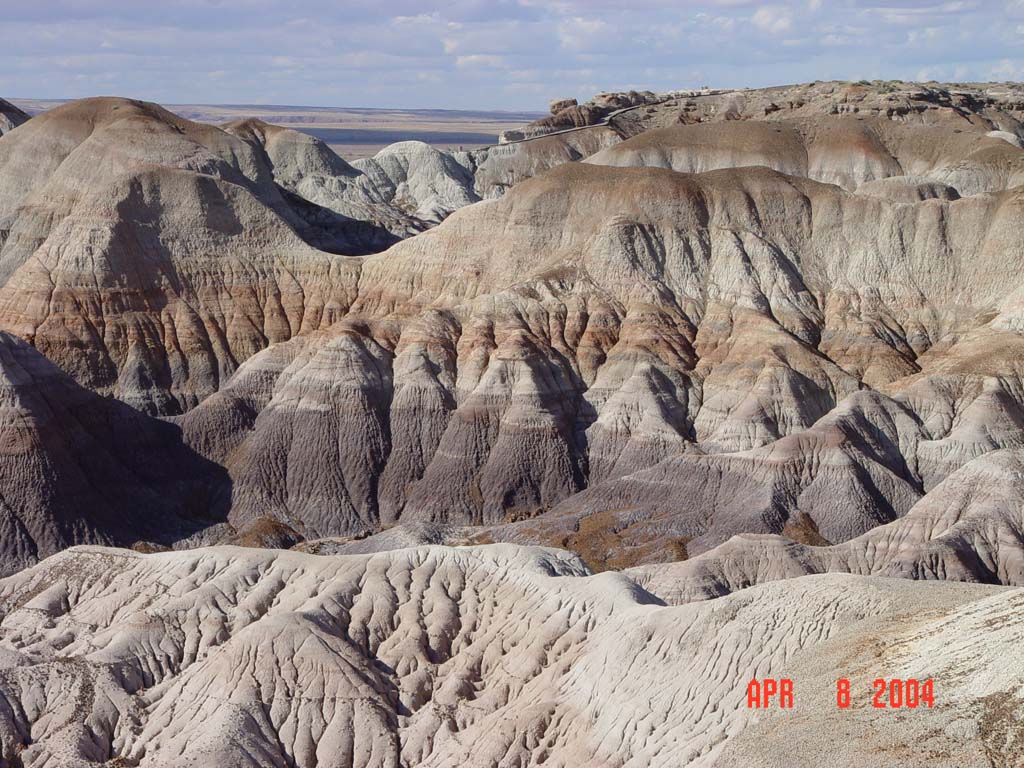 paintedesert.jpg