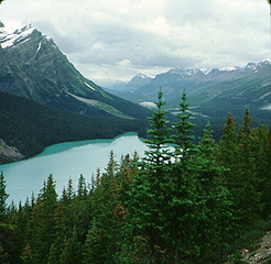 Alaskan lake scene