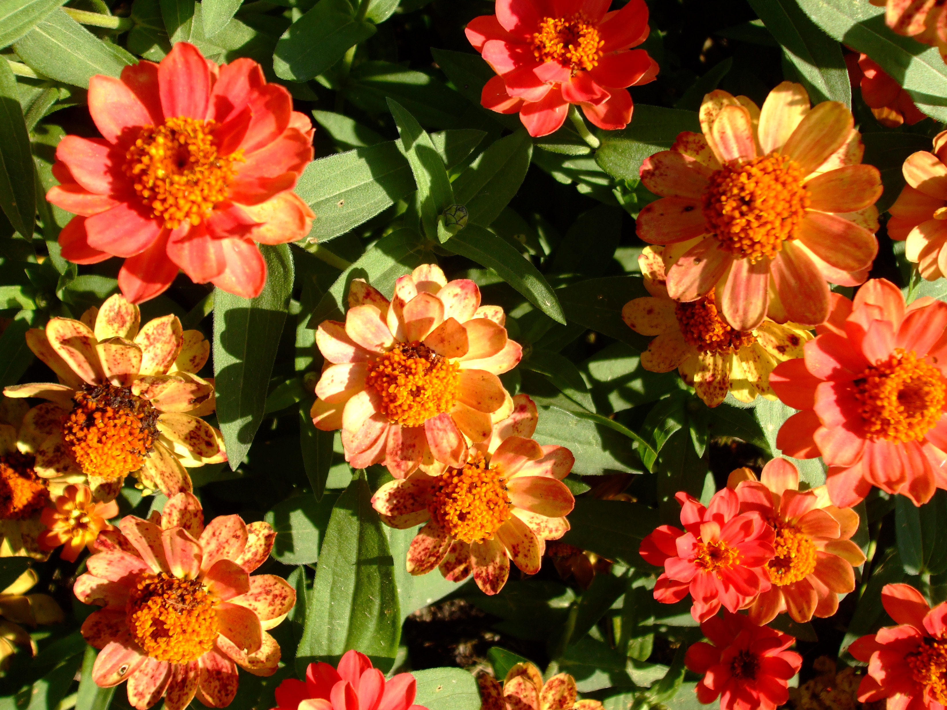 Football kits 24/25 premier league