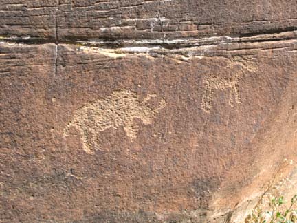 petroglyphbuffram.jpg