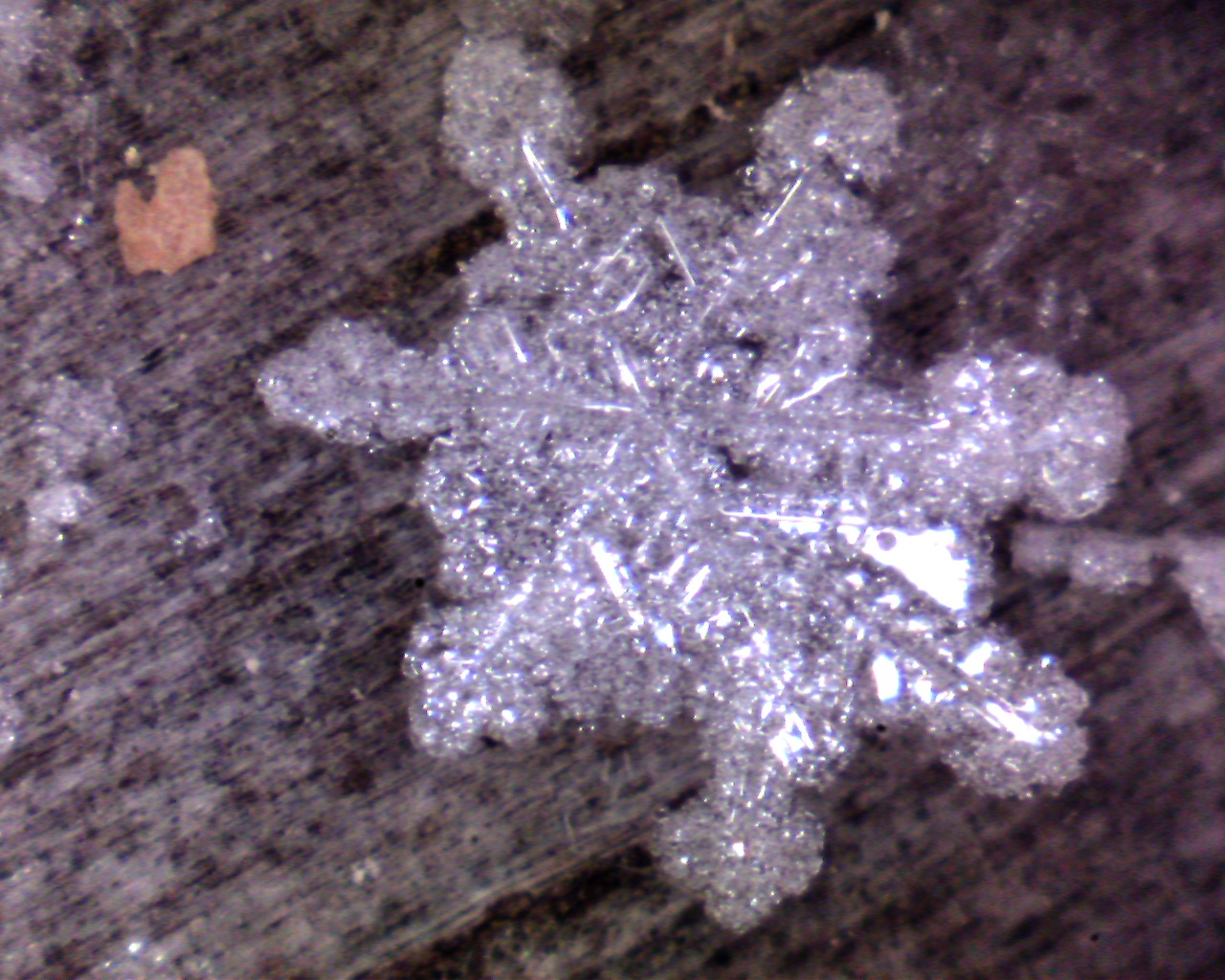 Snowflake Bowdoin Maine Pics4Learning