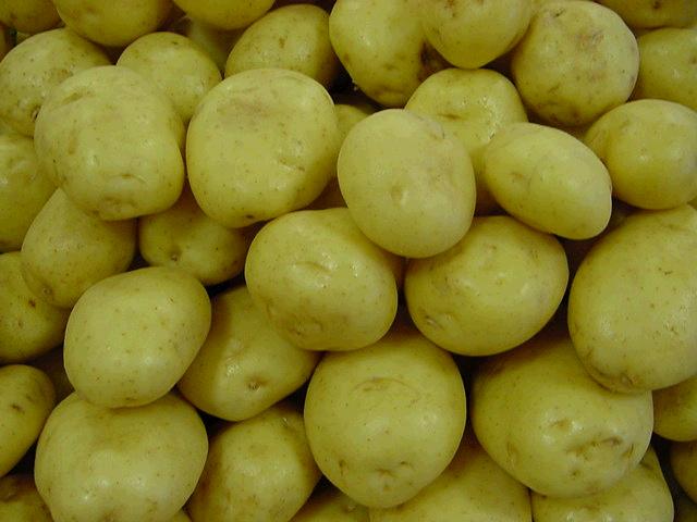white cooking potatoes