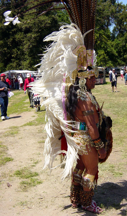 Stanford Pow Wow