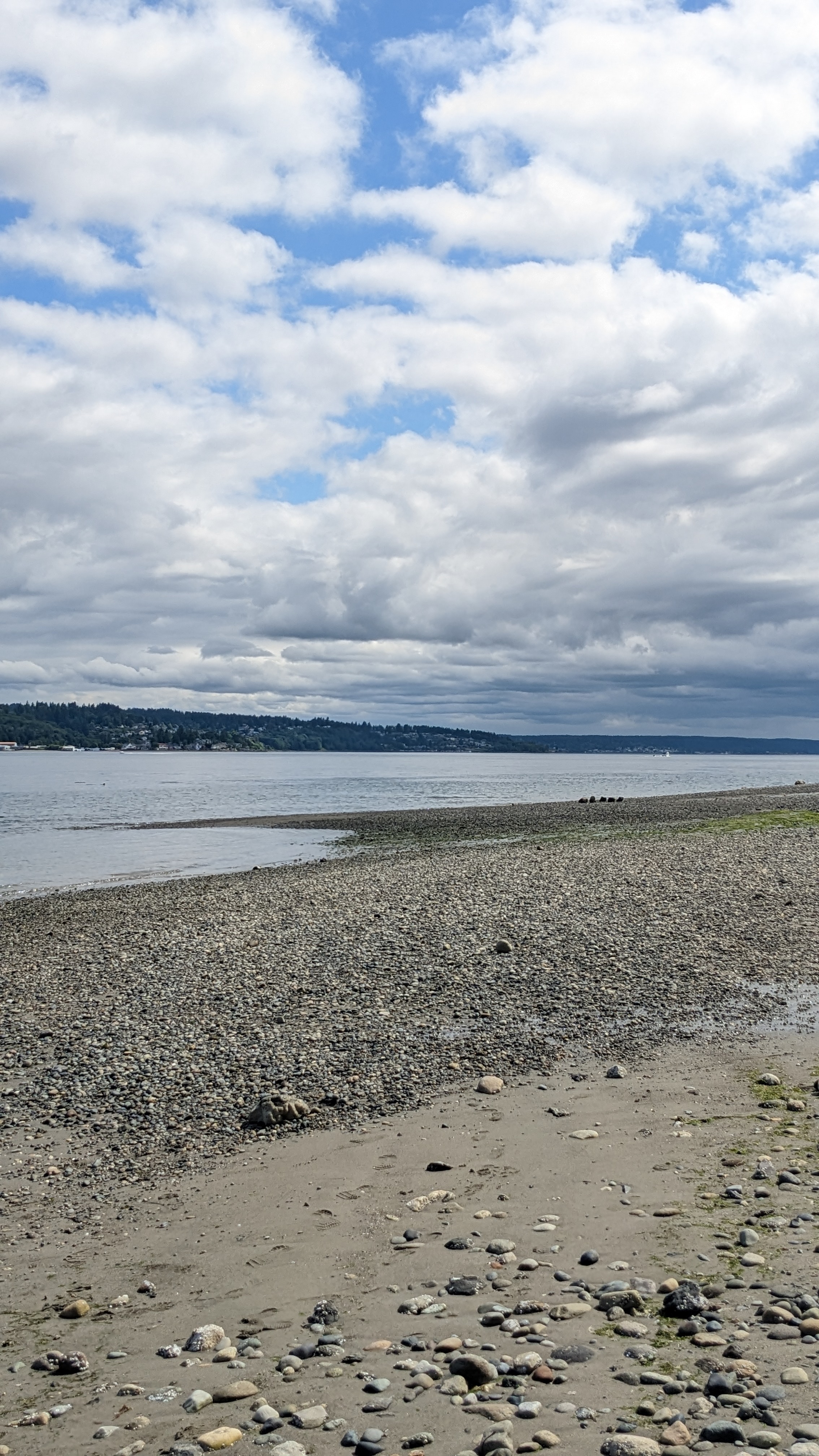 pugetsound.jpg