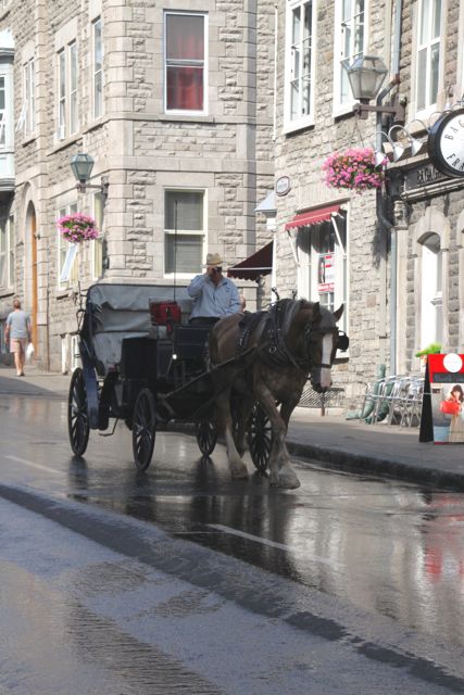 Horse and carriage