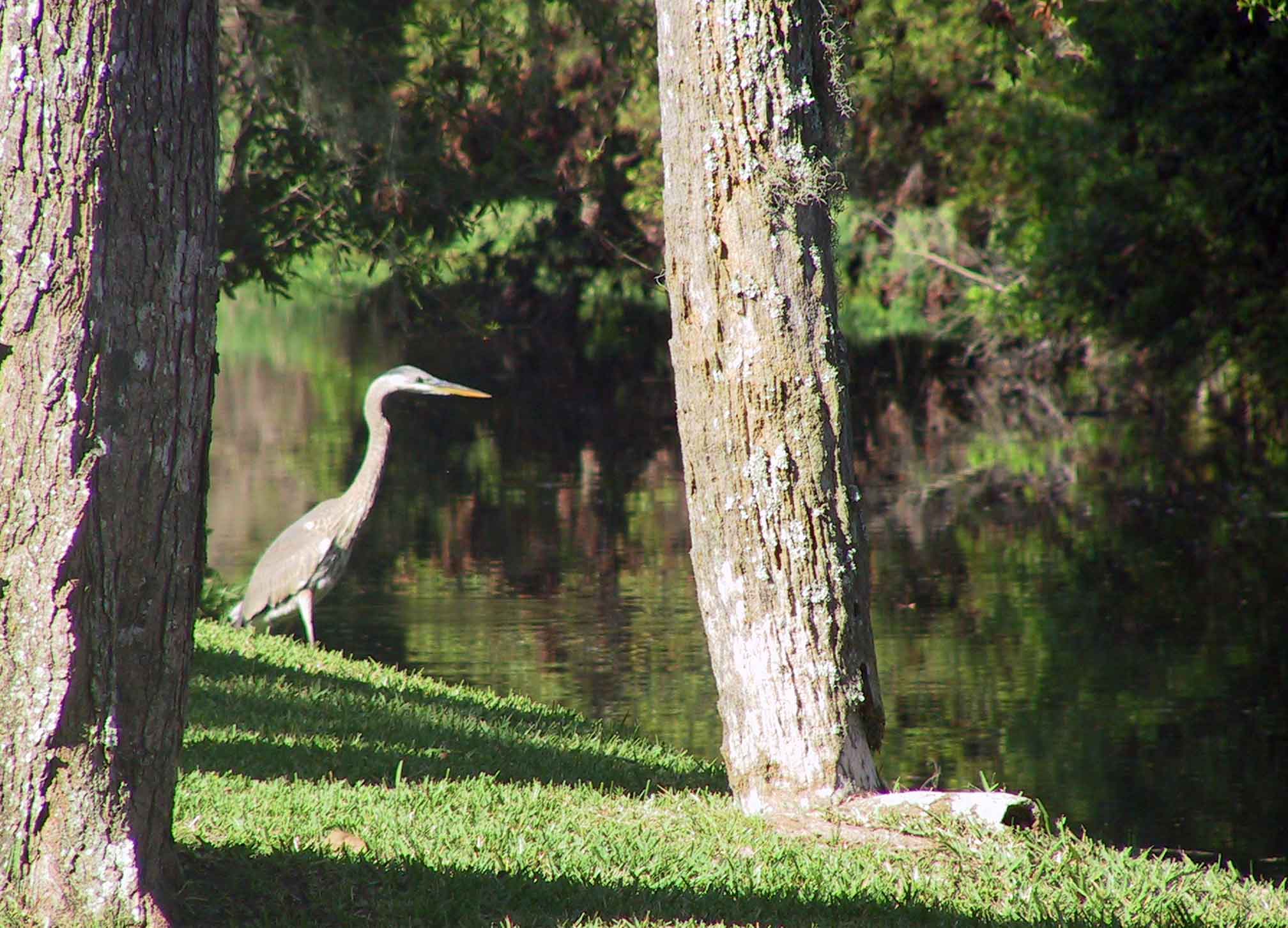 Quiet fisherman