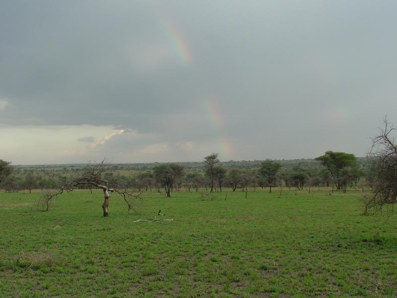 Rainbow over Serengeti