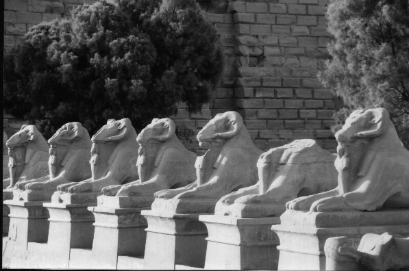 Ram-headed sphinxes (entrance to Karnak)