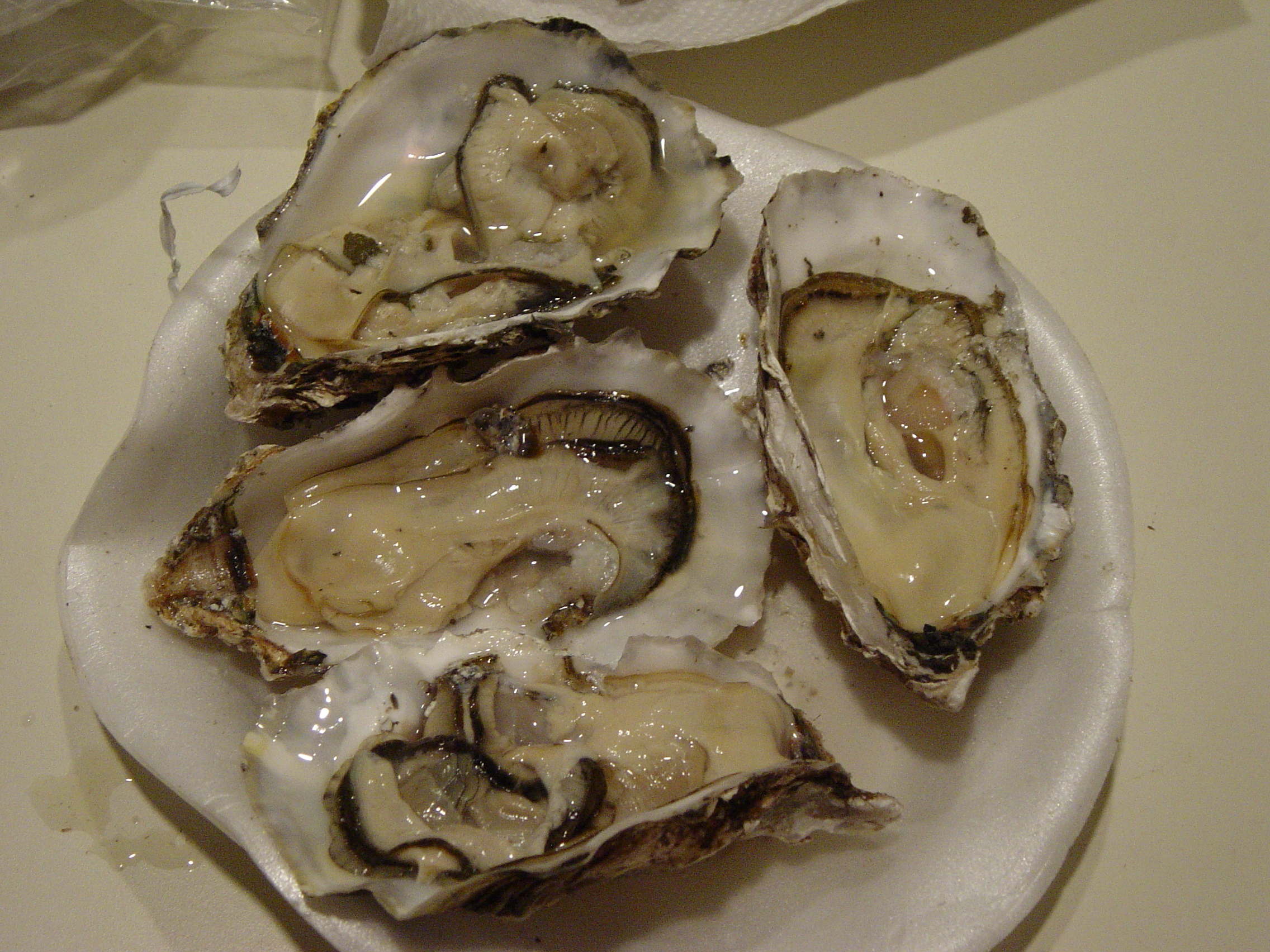 Yummy oysters on the half shell!